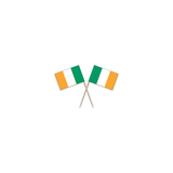 Ireland Flag Party picks - pack of 100
