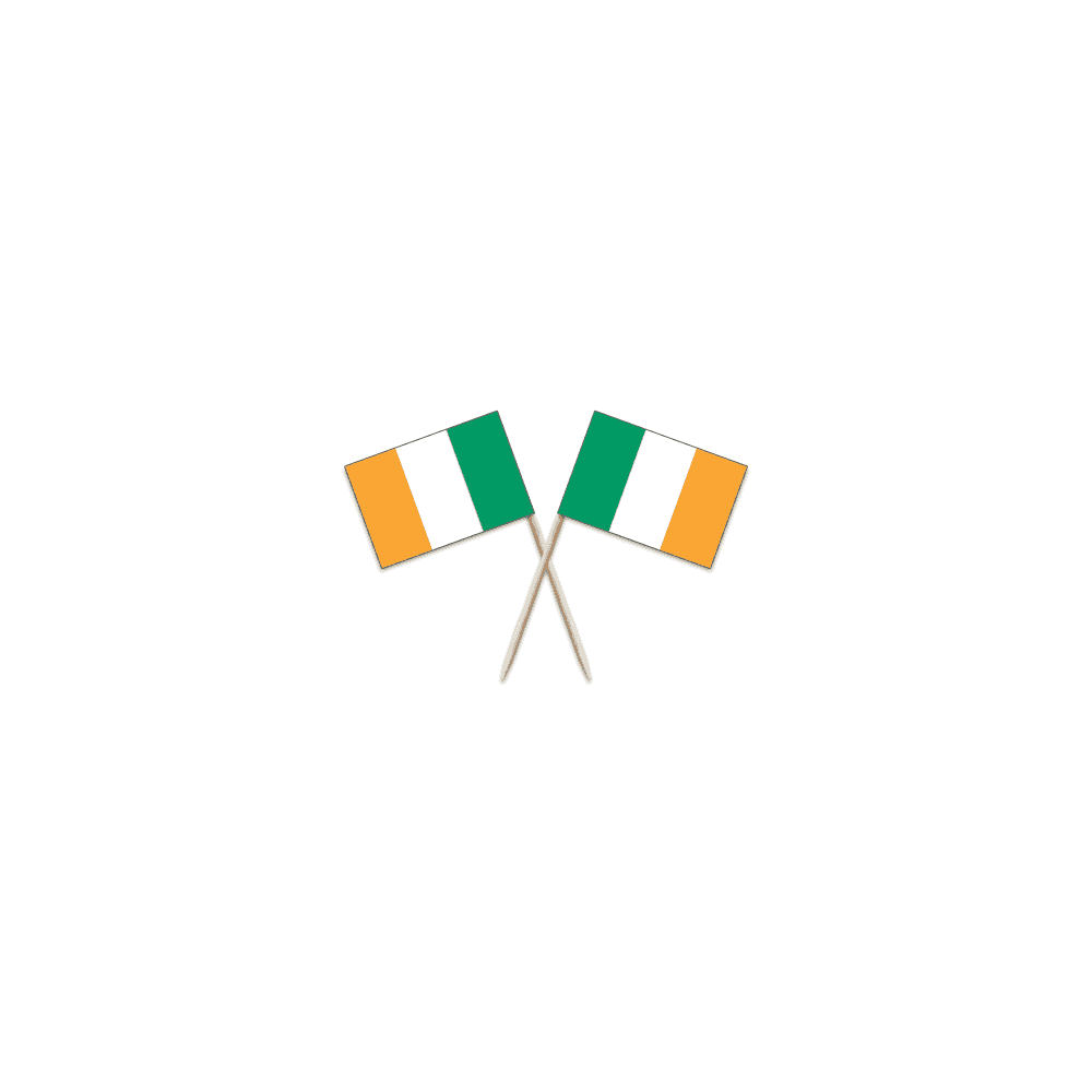 Ireland Flag Party picks - pack of 100